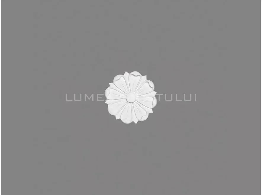 B3021-lbox-885x660-FFFFFF