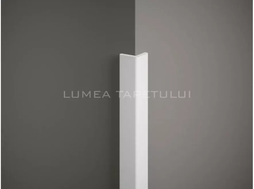 MD237-lbox-885x660-FFFFFF