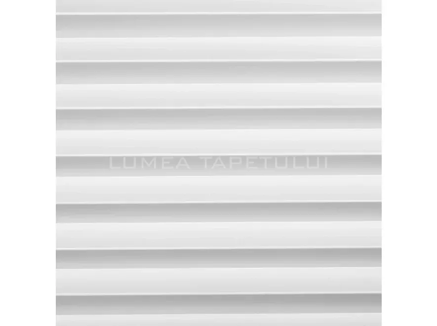 WP003T_5-scaled-lbox-885x660-FFFFFF