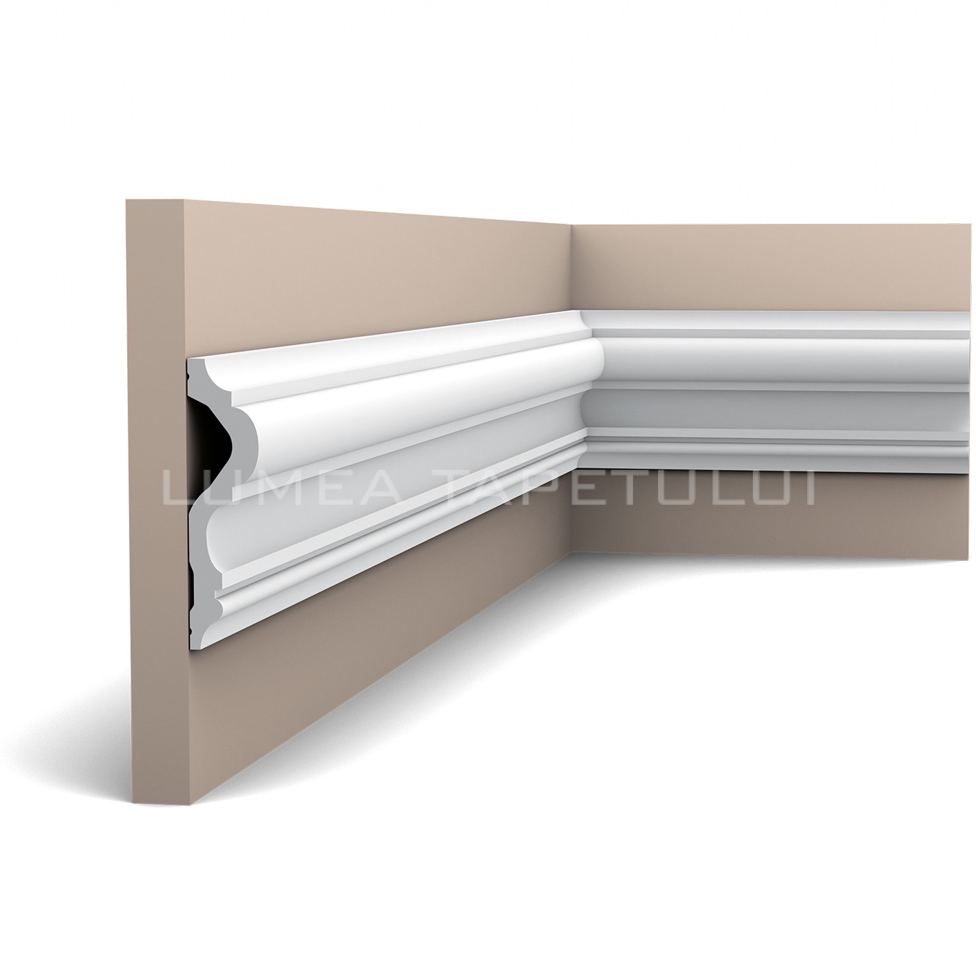 P8050_panel_moulding-1