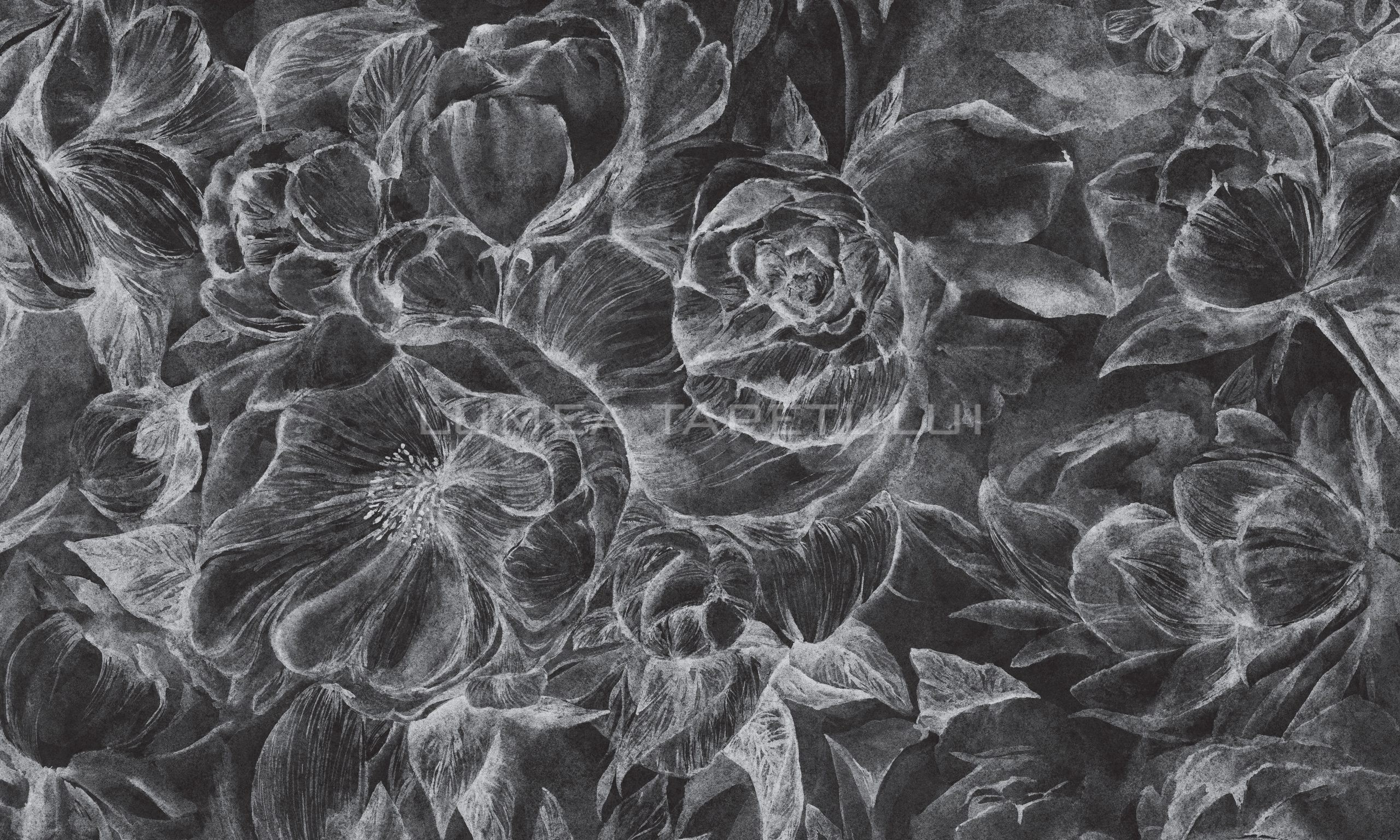 Brassica Dark 500x300cm