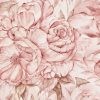 Brassica Pink 500x300cm